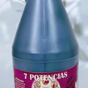Galones 18